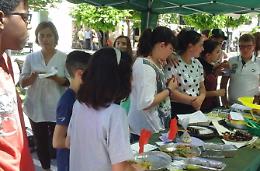 "Sapere i Sapori" tra i banchi, al via  il progetto per la corretta alimentazione