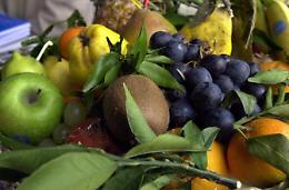 Alimentazione, stile di vita e di salute: una serie di appuntamenti da non perdere