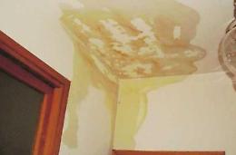 Piove nell'ex scuola dove vivono in sette, scoppia la protesta: "Siamo esseri umani"
