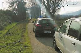 Pollo sgozzato la notte del solstizio: non si escludono piste sataniche