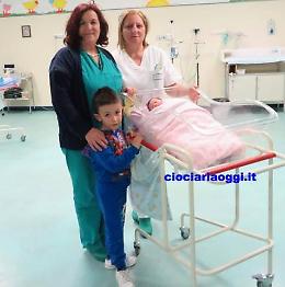 La cicogna fa il nido a Cassino: arrivano Andrea e Michela