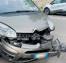 Auto contro cinghiale: paura per una giovane coppia e i due figlioletti