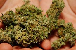 2 kg di marijuana nel vano scala, arrestata 24enne...ma si rende irreperibile