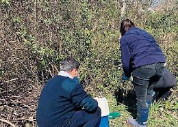 Fanghi rossi in un terreno: eseguiti i campionamenti dall'Arpa