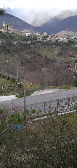 Un orso a passeggio a ridosso dell'area faunistica tra stupore e curiosità