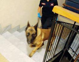 Droga dal Marocco in Ciociaria: la base di spaccio vicino ad alcuni bar. I particolari