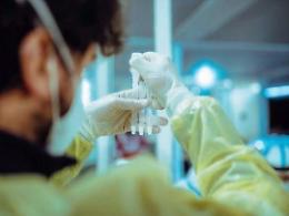Covid, ecco i monoclonali: l'ultima frontiera della guerra al virus