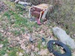 Rifiuti di ogni tipo abbandonati nei boschi: l'indignazione di un cittadino