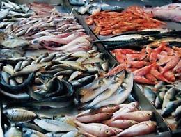 Pesce guasto al badante straniero: il brutto gesto è stato fatto di proposito