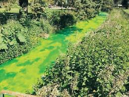 Liquido 'sospetto' nel Gari, il fiume diventa verde: ecco cosa è successo