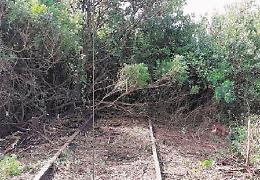 Ferrovia Cassino-Gaeta: i binari del futuro. Una chimera, ma non troppo