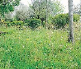 Ferentino, pulizia a Villa Gasbarra sì. Ma solo a metà. E' polemica
