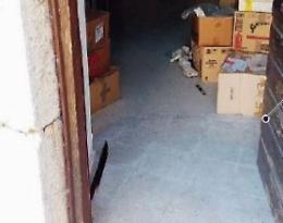 Scasso e intrusione nella biblioteca in centro: chiesta la videosorveglianza