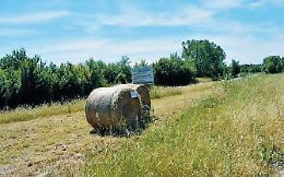 Fieno raccolto di notte sui terreni "avvelenati": scatta il sequestro