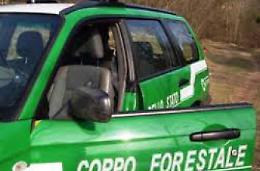 Traffico illecito di rifiuti nella cava: rinviati a giudizio i fratelli Cocco