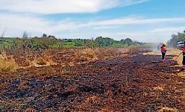 Stretta contro gli incendi, controlli a tappeto: pronte denunce e multe
