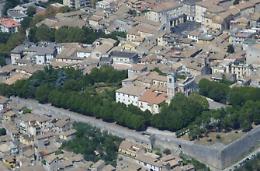 Alatri, dopo il censimento degli alberi arrivano i cartelloni informativi