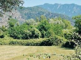 Fieno “vietato” raccolto nel buio: immortalato l'autore nella notte