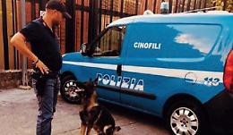 Droga nello zaino: il fiuto di “Isco” non perdona. Donna nei guai