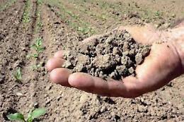 Carenza idrica, servono soluzioni per salvare i raccolti: agricoltori in crisi