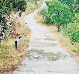 Voragini sul manto stradale: allarme sicurezza per la Grisano-Vallaurea