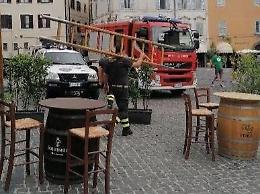 Invasione di calabroni in centro: intervengono pompieri e Protezione Civile