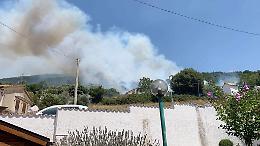 Fiamme a Sant'Oliva, il fuoco ha divorato gli uliveti: "Non c'è più niente"