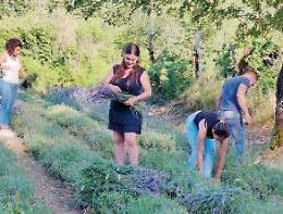 Una sfida al profumo di...lavanda: la rivoluzionaria azienda di Salvatore e Stefania