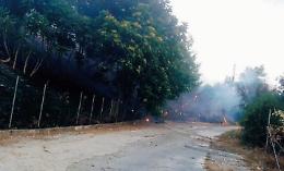 Incendi, sfiorata una vera e propria catastrofe ambientale: s'infiamma la polemica