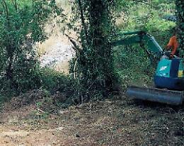 Amaseno, operazione decoro e sicurezza: ripulita la strada di Don Chei