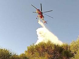 Vasto incendio distrugge ettari di vegetazione: lambite alcune case