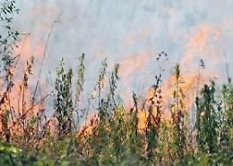 Due incendi in poche ore e natura devastata. Ambientalisti: massima allerta