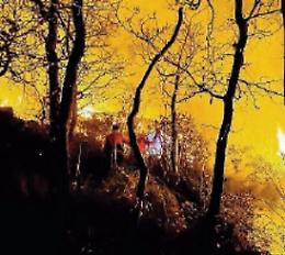 Parco degli Aurunci devastato dagli incendi: esplode la rabbia