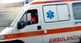 Bimbo morso in spiaggia da un cane: in ospedale. Multa per il padrone dell'animale