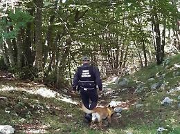 Bocconi avvelenati disseminati in paese, cani morti o in fin di vita: caccia alle esche