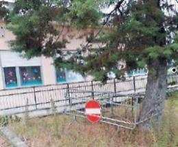 Ceprano, rami pericolanti: sos per la scuola dell'infanzia di Chiusa Grande
