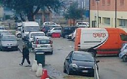 Crea il caos e sfascia la protezione anticovid: impiegati in fuga dalla sede Cup