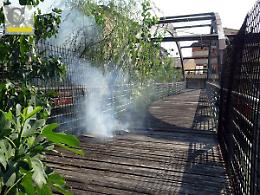Incendio divampa sul ponte lamellare: soccorritori sul posto
