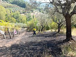 Incendio divampa su un terreno agricolo: protezione civile e pompieri contro il fuoco