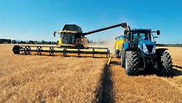 Vola alto il prezzo del grano: guadagni scarsi per gli agricoltori