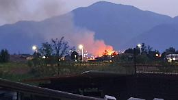 Incendio in un canneto: fiamme alte e paura. Vigili del fuoco in azione