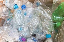 Ceccano, tornano le raccolte di rifiuti organizzate da "PlasticFree"