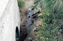 Rifiuti abbandonati, il deposito è un fossato: lo scempio sotto il ponte