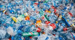 Ceccano, PlasticFree: nuovo successo per la pulizia della città