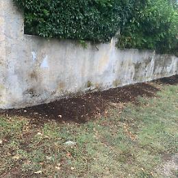 Cassino, Picano denuncia: appiccato fuoco all'esterno della casa familiare