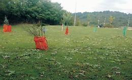 Area giochi e zona verde in balìa di vandali e animali notturni: il degrado