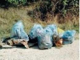 Volontariato, successo per la pulizia del 'bosco discarica'