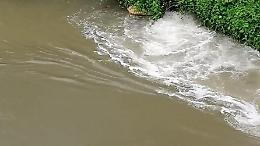 Allarme inquinamento, "Scarichi fognari nel torrente": la pesante denuncia
