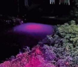 Campagna contro i tumori femminili: il fiume Liri si colora di Rosa