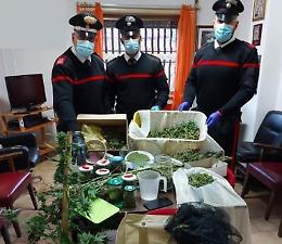 Droga a chili in casa, trasformata in "laboratorio": un arresto e ingenti sequestri